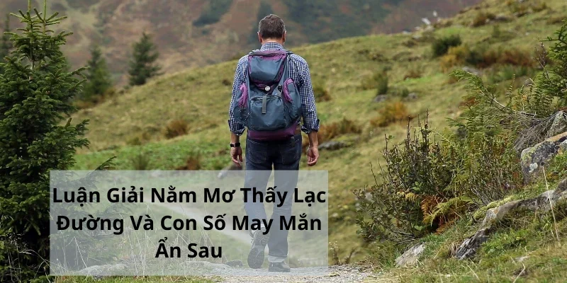 Luận Giải Nằm Mơ Thấy Lạc Đường Và Con Số May Mắn Ẩn Sau