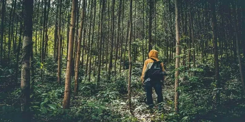 Luận Giải Nằm Mơ Thấy Lạc Đường Và Con Số May Mắn Ẩn Sau 2 Nằm mơ thấy lạc đường không tìm được lối ra