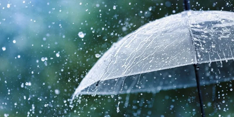 Giải Mã Nằm Mơ Thấy Mưa Và Những Điều Có Thể Bạn Chưa Biết 3 Khám phá những con số xung quanh giấc mơ thấy mưa